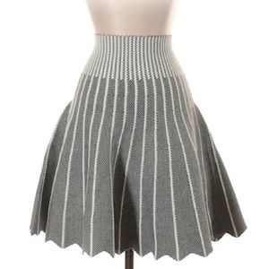 Francescas Collections Flare Skirt